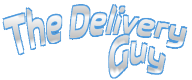 The Delivery Guy Android 3D Driving Game Logo